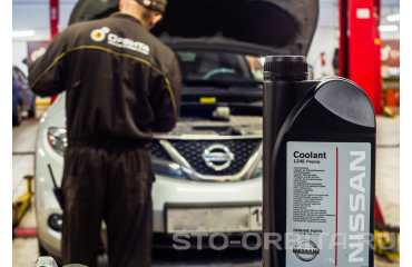 Нужен сервис по ремонту Мурано Z52?